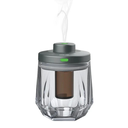 Green Lion Crystal Fragrance Diffuser