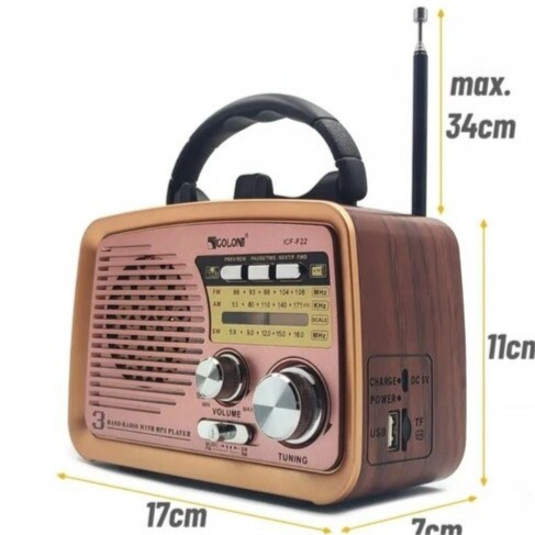 Portable et Radio FM ICF-F22