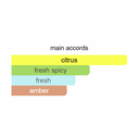 Zimaya Mazaj Infused Eau de Parfum 100ml