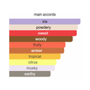 Armaf Club de Nuit Maleka Eau de Parfum for Women 105ml