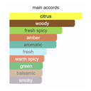 Armaf Club De Nuit Iconic Eau de Parfum 105ml