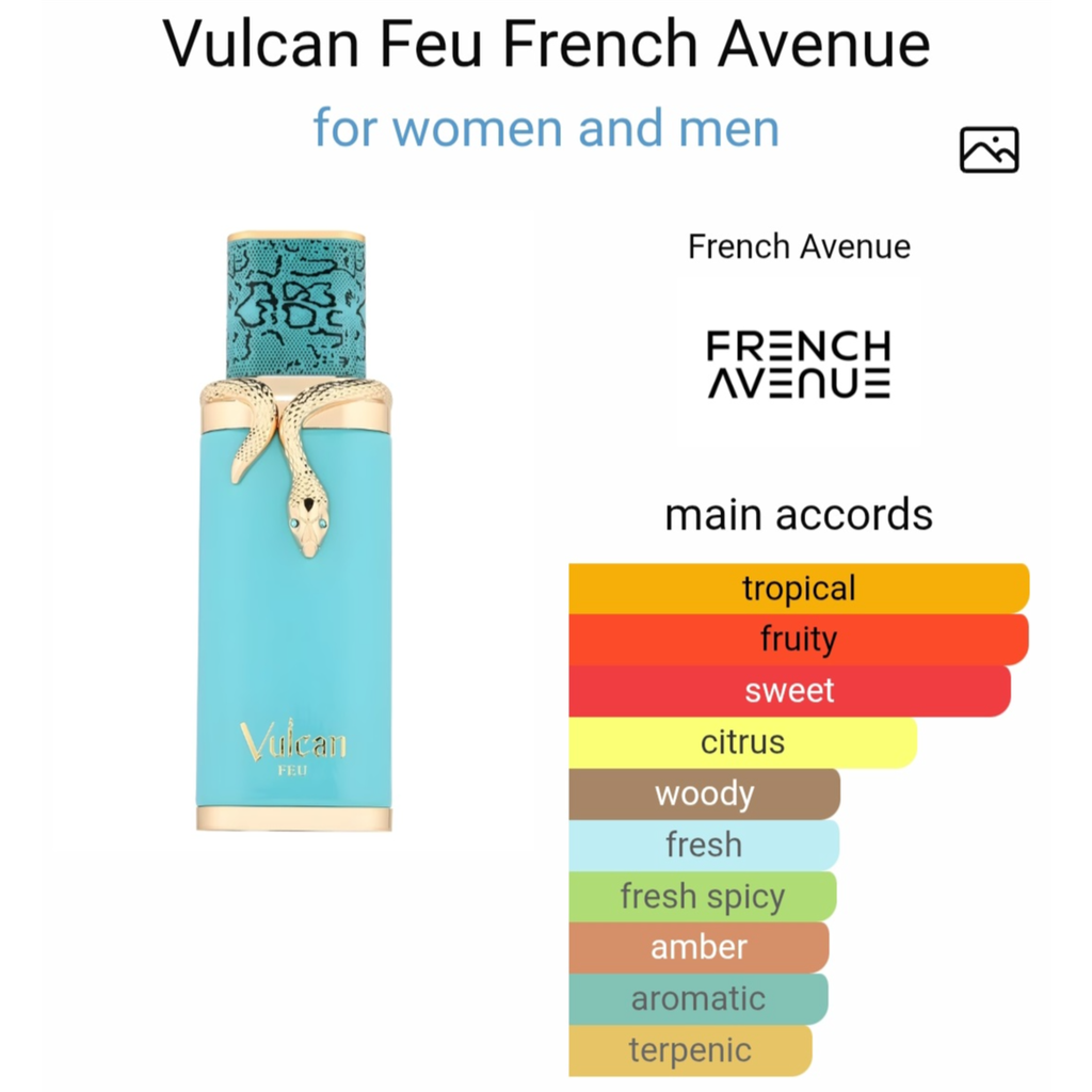 French avenue vulcan feu edp 100 ml for men and women