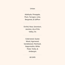 Nabeel Oudh Nasaem 60G