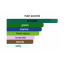 Davidoff Cool Water Eau de Toilette For Men 125ml