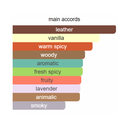 Hugo Boss The Scent Eau de Toilette for Men 100ml