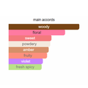 Calvin Klein Euphoria Perfume For Women Eau De Parfum 50 Ml