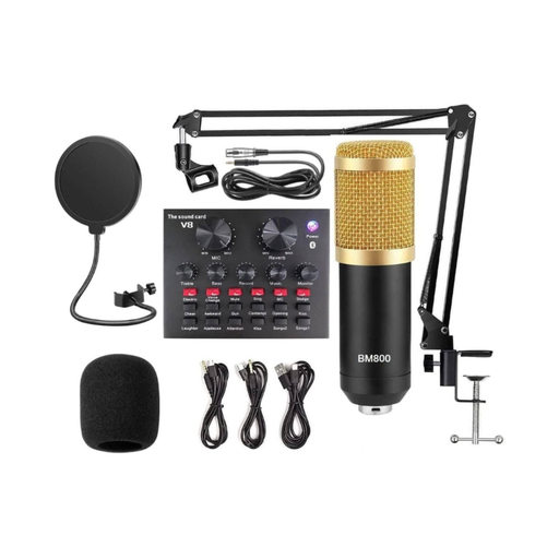 Professional Microphone Kit with V8 Sound Card