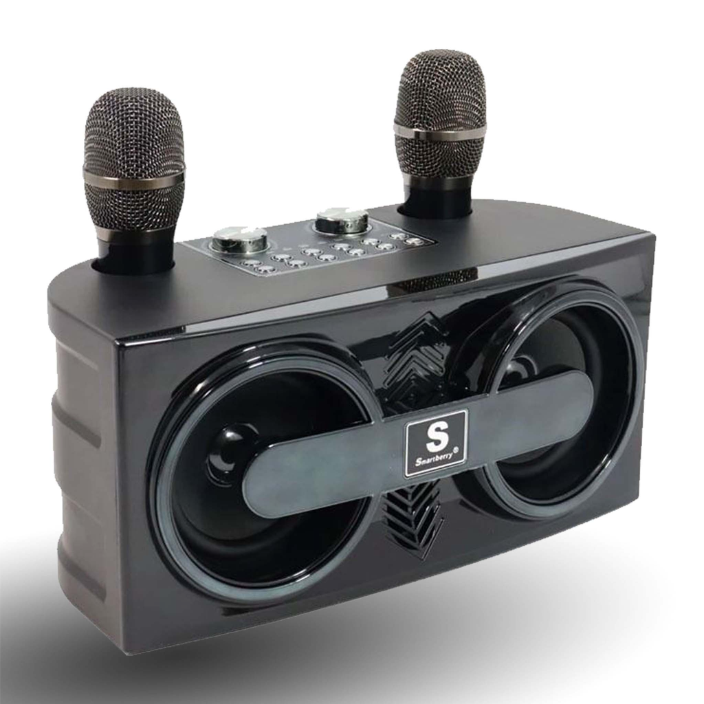 Smart Berry M25 Karaoke Speaker