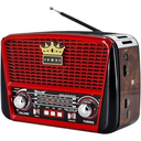 Golon RX-BT455 portable radio Speaker