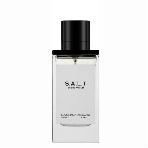 Fragrance world salt edp 100 ml for men