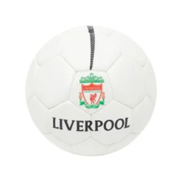 Junior Football SMALL 25055 2