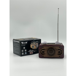 Portable Radio With Bluetooth RX-2502BT