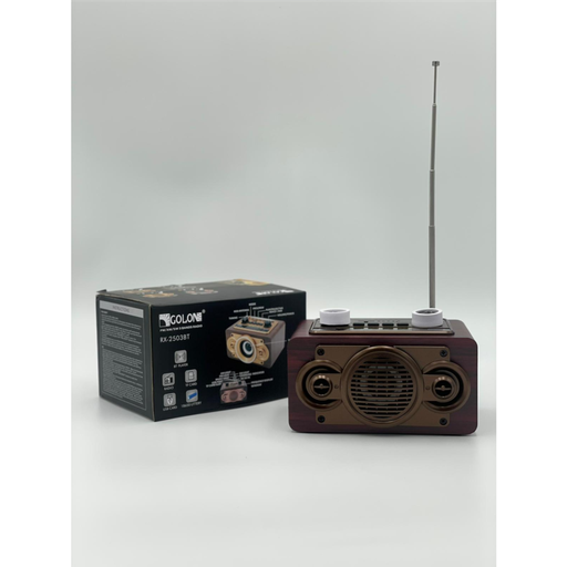 Portable Radio With Bluetooth RX-2502BT