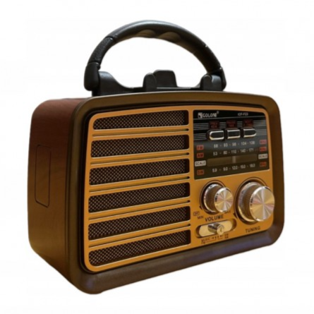 Portable et Radio FM ICF-F22