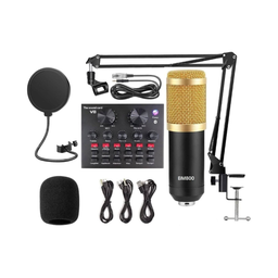 Professional Microphone Kit with V8 Sound Card