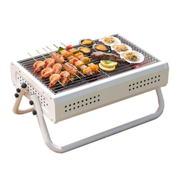Camping Foldable Portable Barbecue Grills